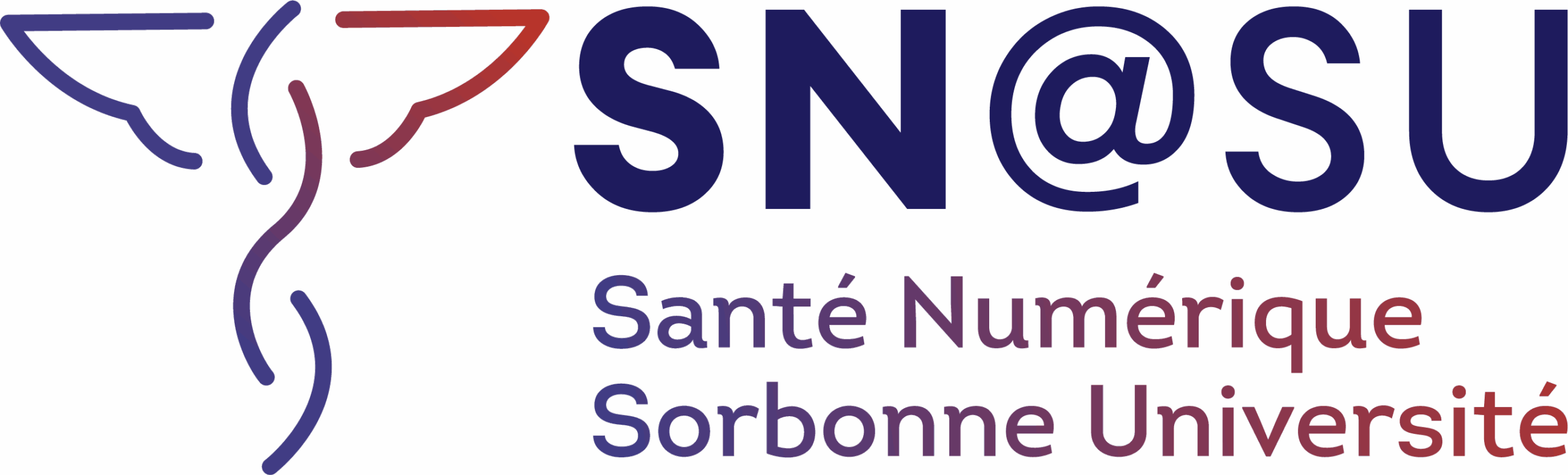 Santé Numérique